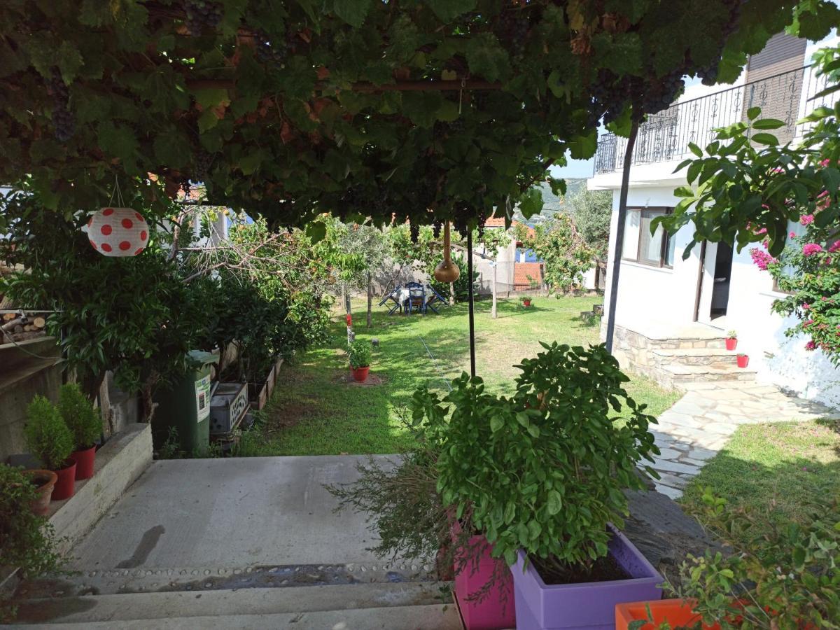 Dora'S House Comfortable Apartment With A Yard And View Pyrgadikia Exterior foto